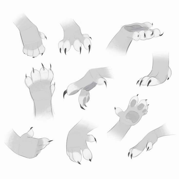 the hands and feet of an animal are drawn in black and white, with different angles