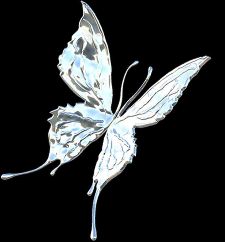 a white butterfly flying through the air