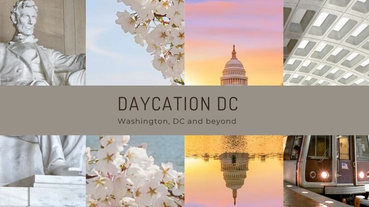 Daycation DC