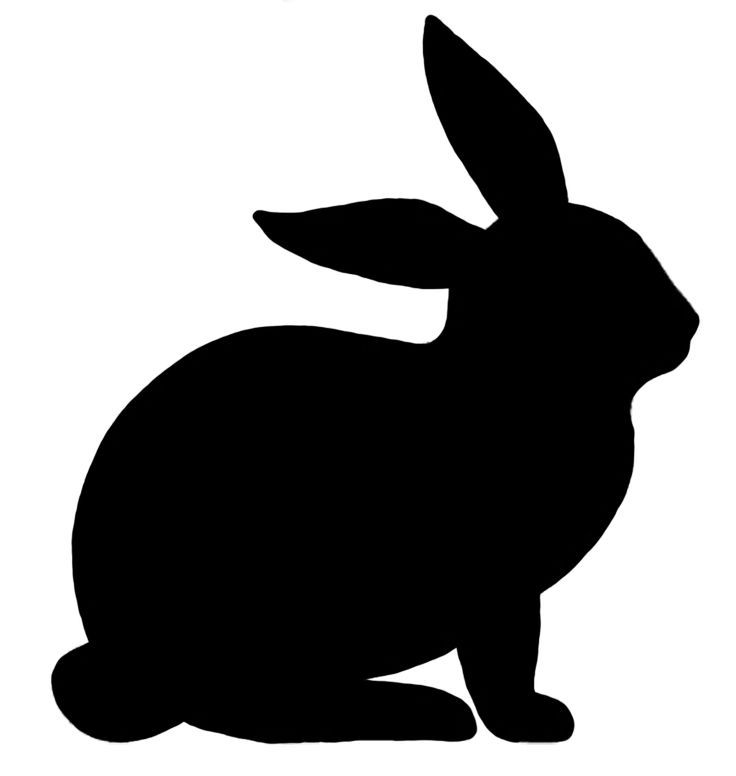 a black silhouette of a rabbit sitting on the ground with its head turned to the side