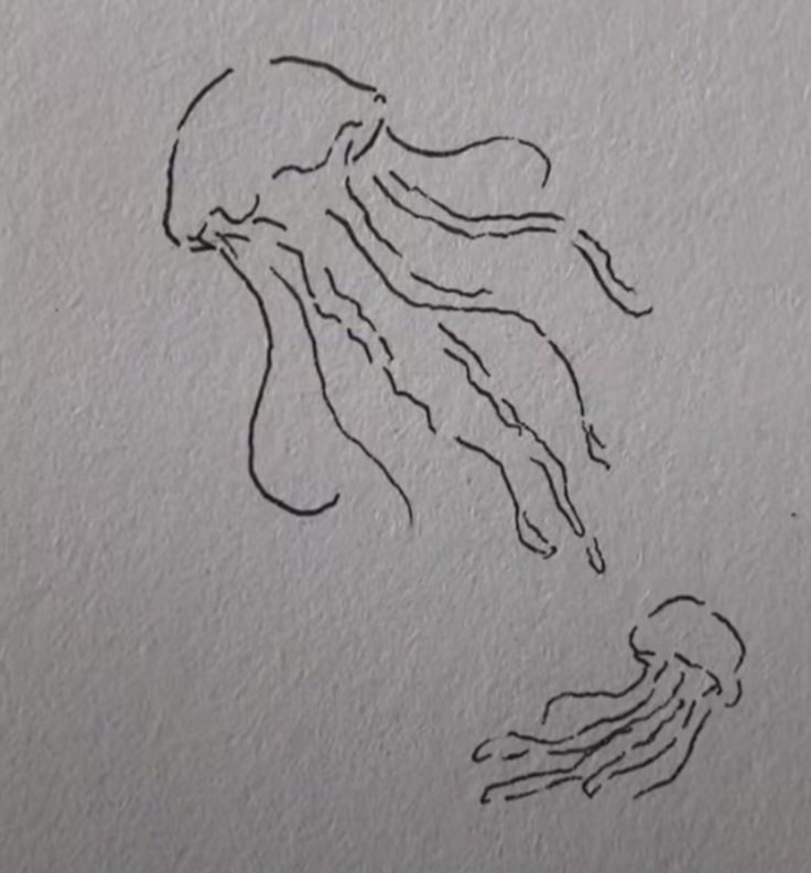 a drawing of a jellyfish on a piece of paper that is drawn with ink