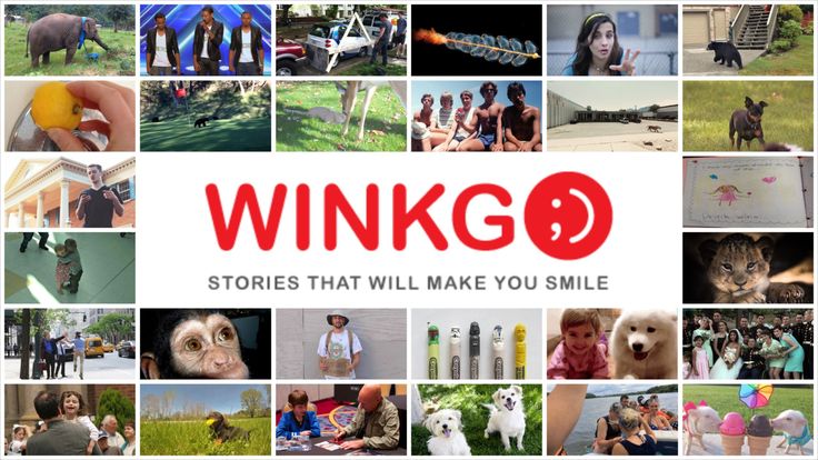 Winkgo