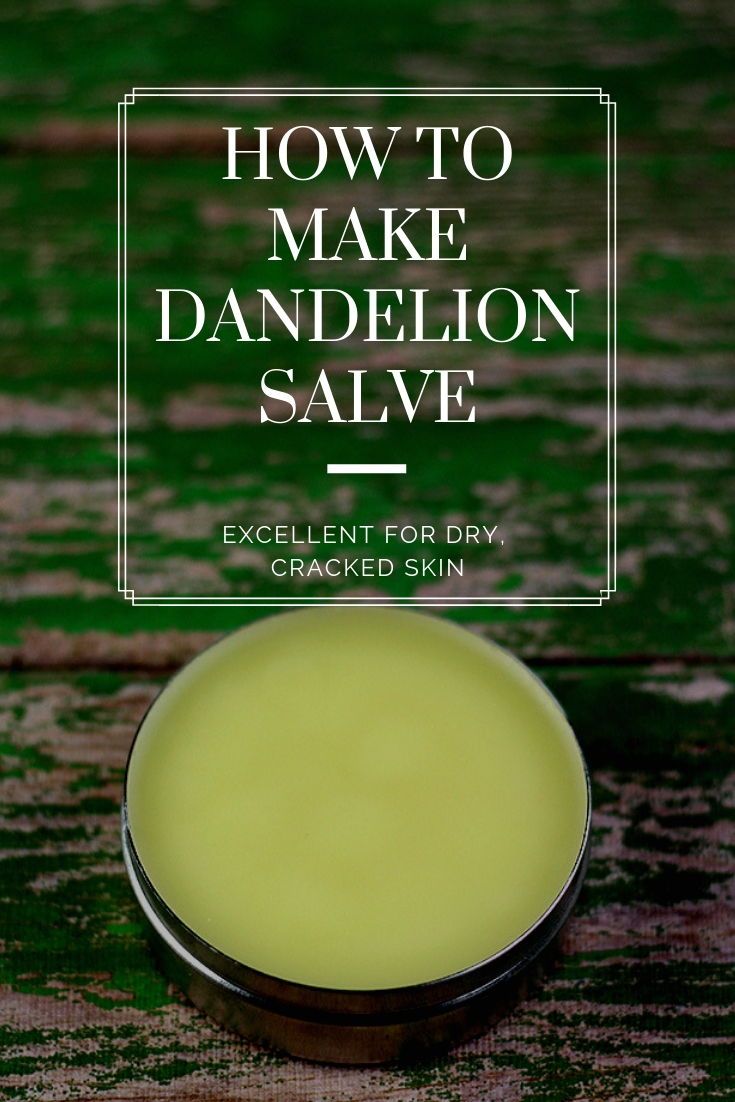 How to make dandelion salve. This would also make a great dandelion lip balm. This lists the benefits of dandelion salve. Find a dandelion salve recipe to make your own salve. This is a great spring herbal medicine recipe. This uses infused oils to make a salve. #dandelion #salve #recipe Diy Dandelion, Dandelion Salve, Dandelion Oil, Dandelion Benefits, Herbal Medicine Recipes, Yard Diy, Salve Recipes, Ginger Benefits, Home Remedy For Cough