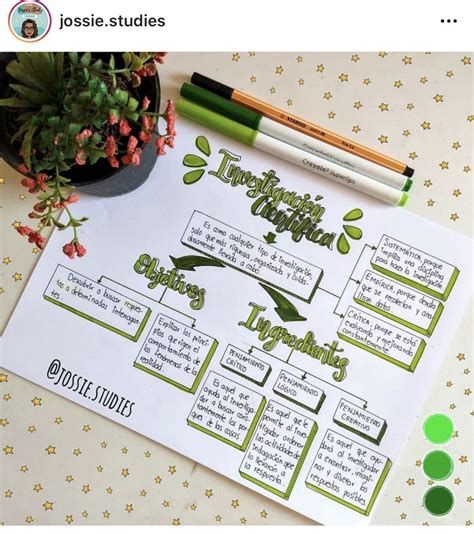 a green plant and some markers on top of a white paper with words written in it