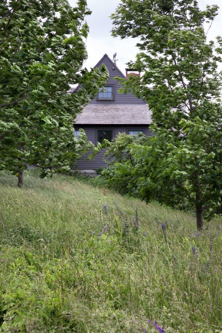 a house sitting on top of a lush green hillside next to tall grass and trees