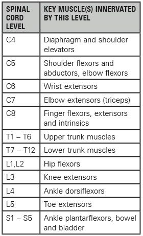 Spinal cord level table Nbcot Exam, Physical Therapy School, Physical Therapist Assistant, Physical Therapy Assistant, Occupational Therapy Assistant, Medical School Studying, Nursing School Notes, Acute Care, Human Anatomy And Physiology