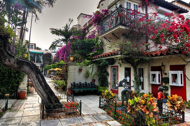 a house with many flowers growing on it