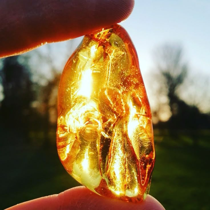 a person holding a piece of yellow glass in their hand with trees in the background