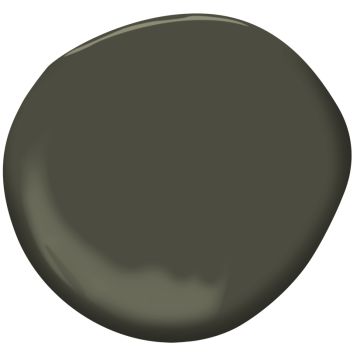 the dark gray paint is shown in this rendering, it looks like an oval shape