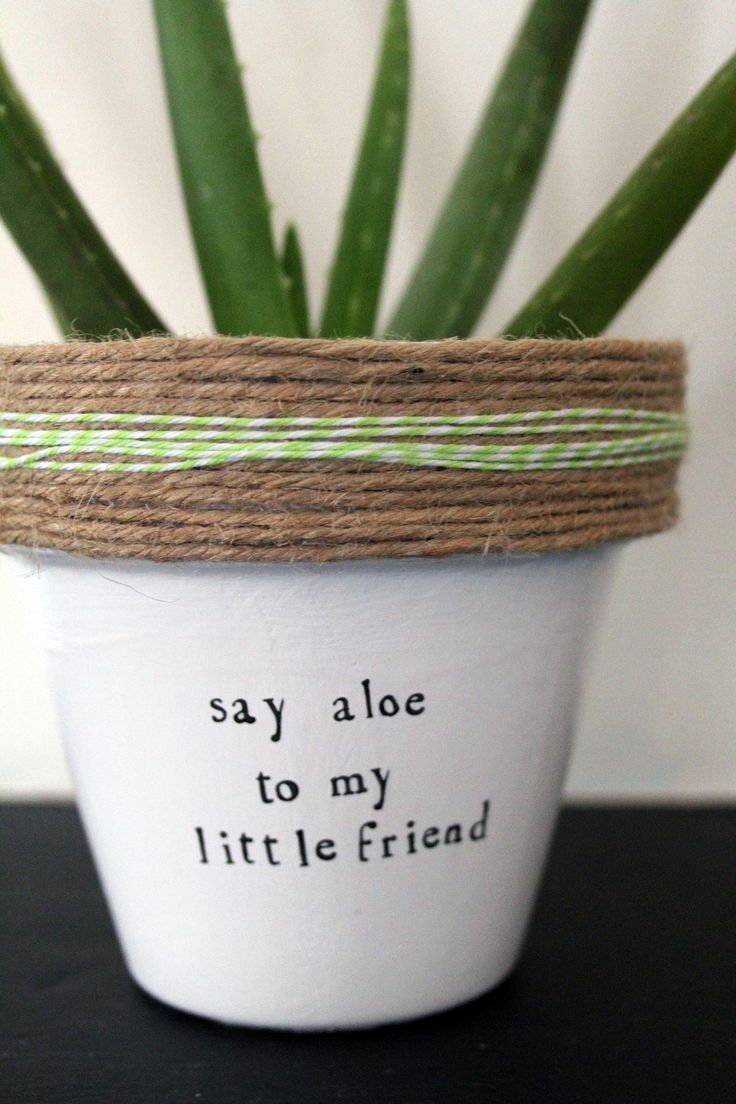 Plant themed puns! Check the whole store for more! www.etsy.com/shop/PlantPuns Pot Ideas, Have Inspiration, Spring Inspiration, Back To Nature, Crafty Things, Plant Life, Garden Planning, Green Thumb, Container Gardening