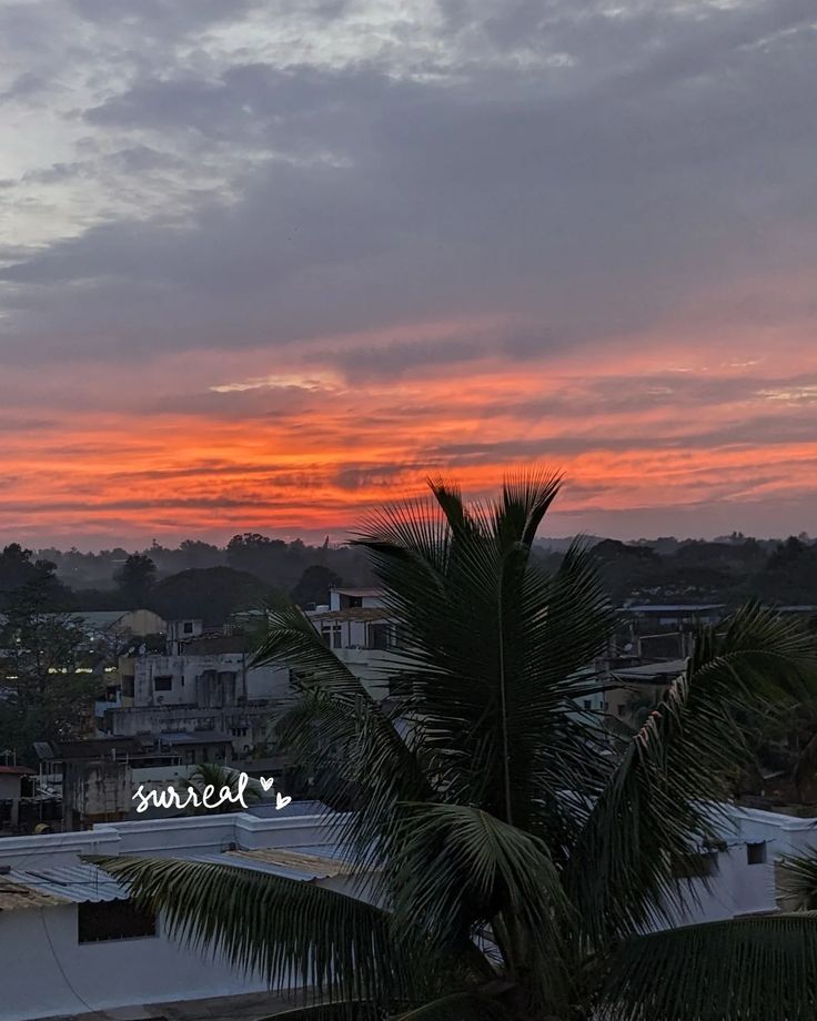 the sun is setting over a city with palm trees and buildings in the foreground