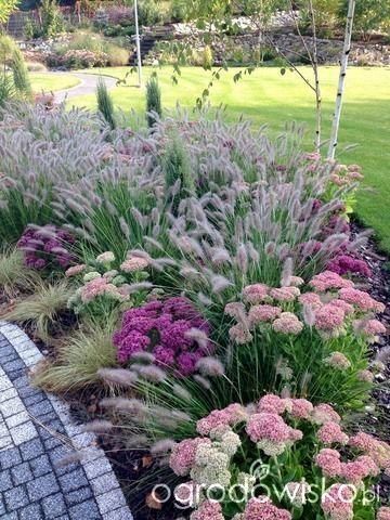 purple and white flowers in a garden next to a brick walkway on the side of a house