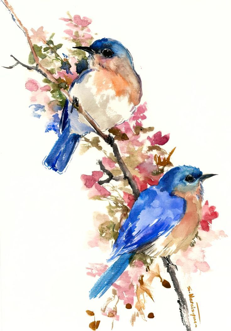 two blue birds sitting on top of a branch with pink flowers in front of them