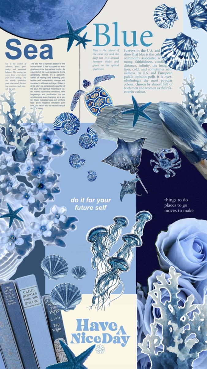 an ocean themed collage with blue and white flowers, shells, sea stars, and other things