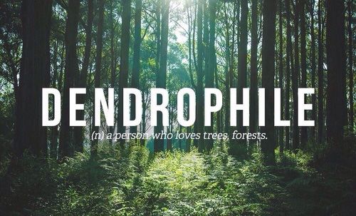 the words dendrophile in front of a forest filled with tall grass and trees