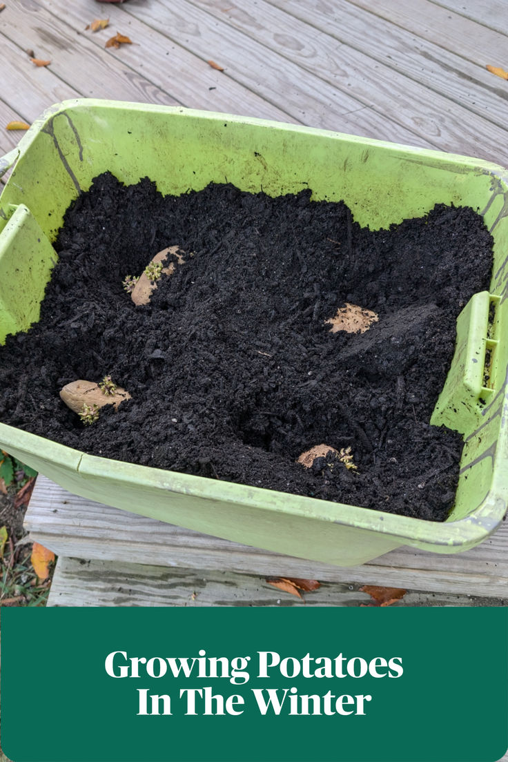 a green container filled with dirt sitting on top of a wooden deck