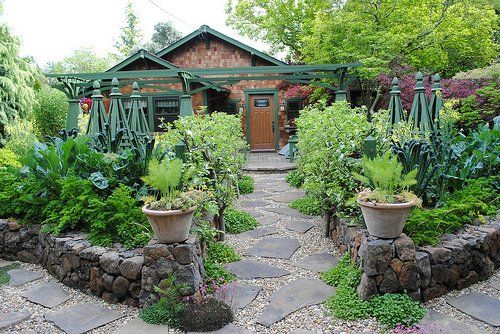 the garden is full of plants and rocks