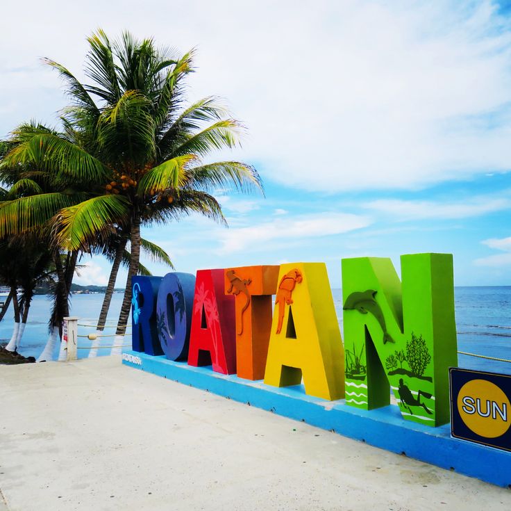 the word hawaii written in multicolored letters on a beach with palm trees and blue water