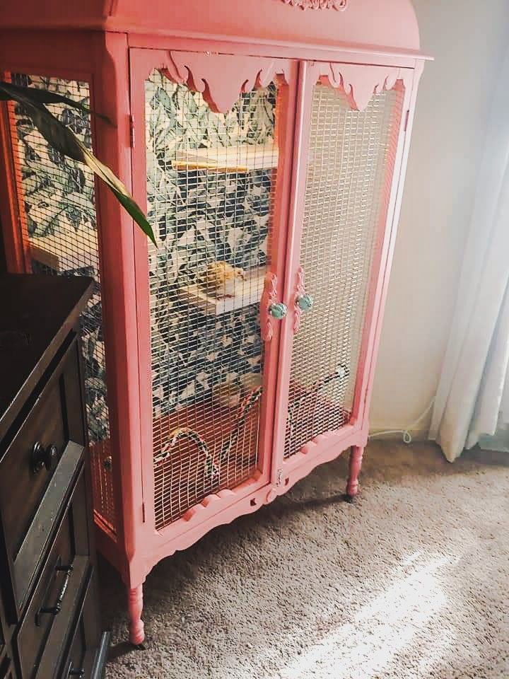 a pink cabinet with bird cages on it