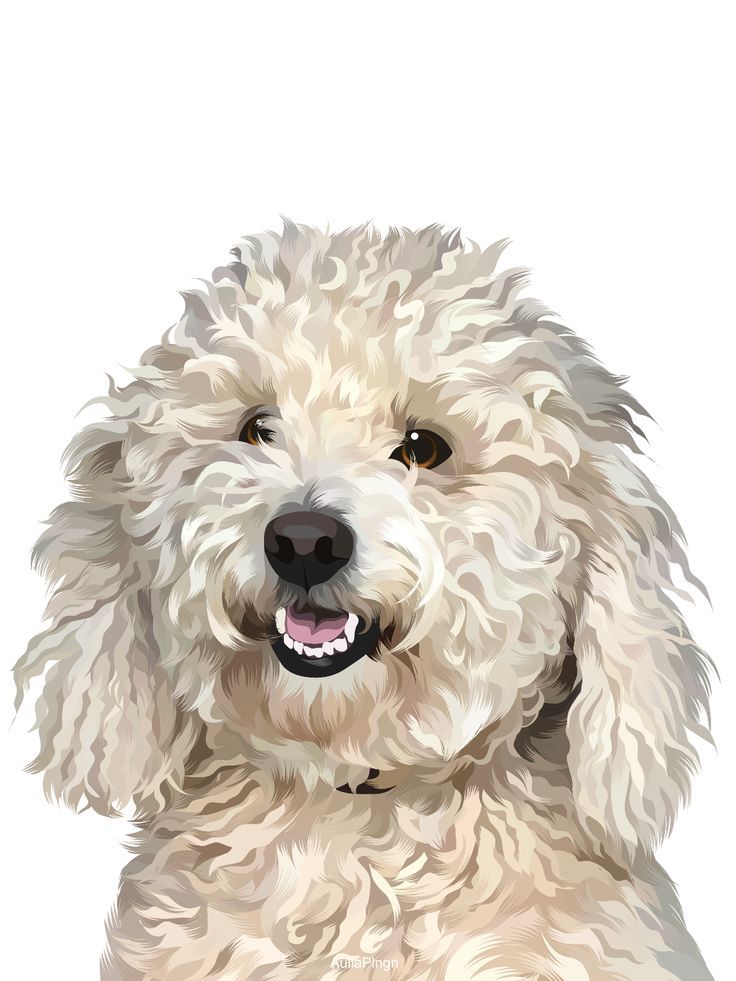 a close up of a dog with a white background