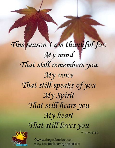 two leaves hanging from a branch with the words, this season i am grateful for my mind that still remembers you