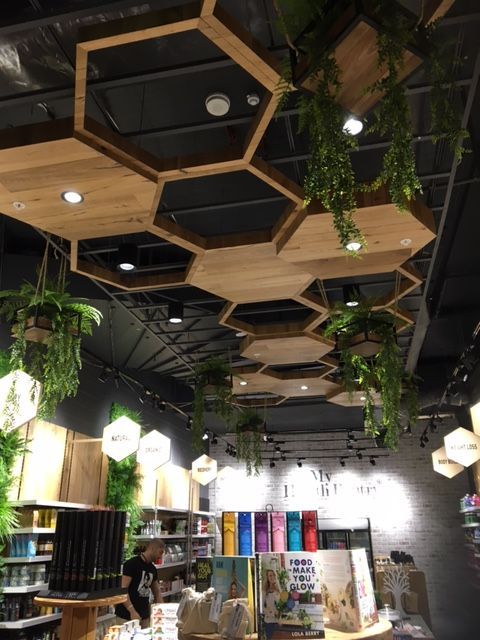 the interior of a book store with plants hanging from the ceiling and bookshelves