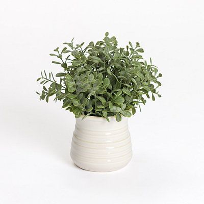 a small potted plant sitting on top of a white table