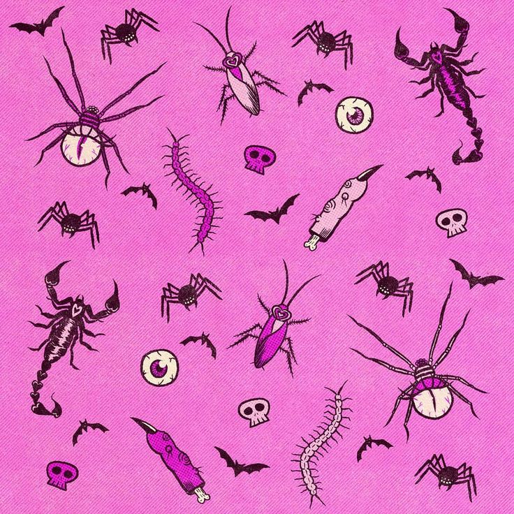 a pink background with lots of different types of bugs