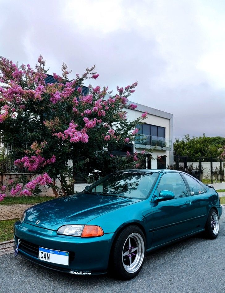 a blue car parked in front of a tree with pink flowers on it's branches