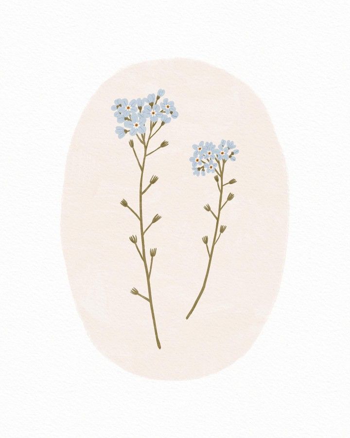 two blue flowers on a white background