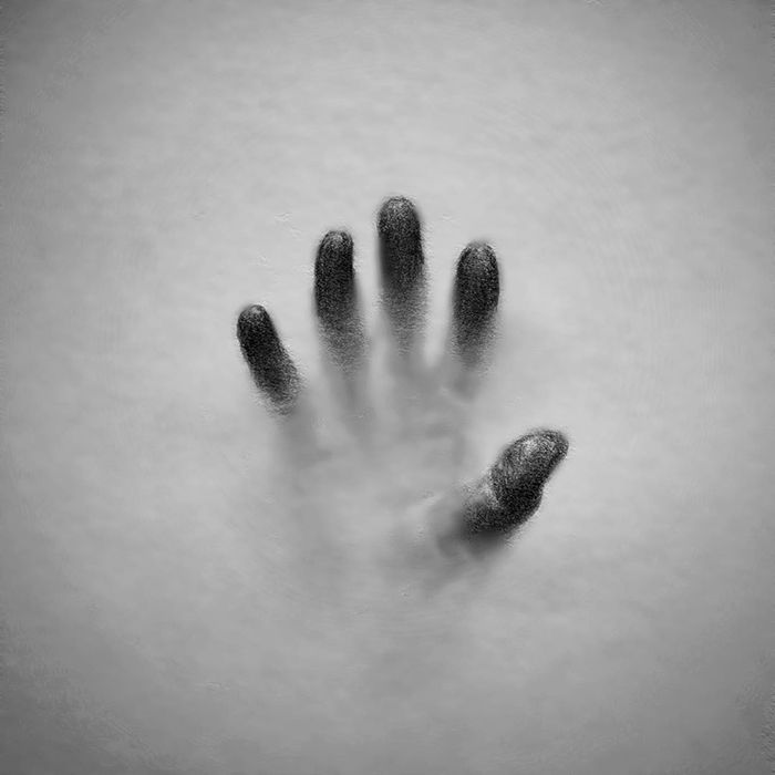 a black and white photo of an animal's paw