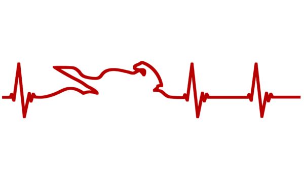 a red line drawing of a bird and heartbeat