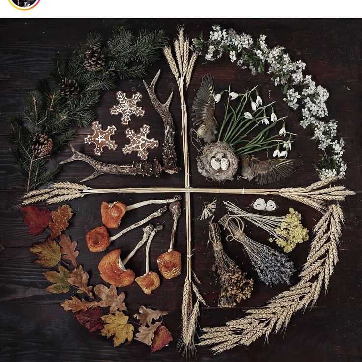 an arrangement of dried flowers and herbs arranged in a cross shape on a wooden surface