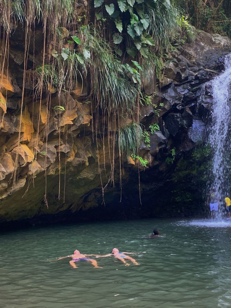 people swimming in the water near a waterfall