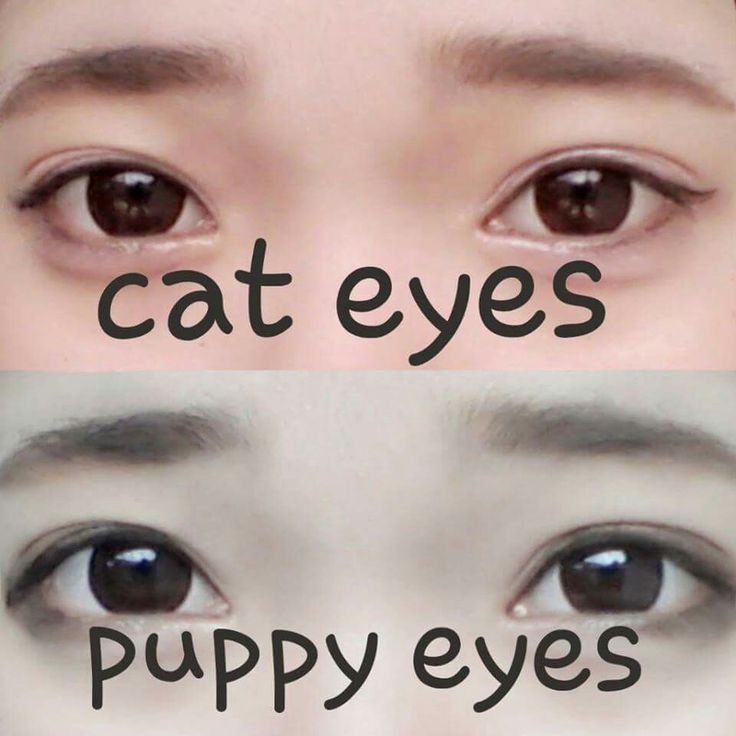 Puppy Dog Eye Makeup, Dog Eye Makeup, Puppy Eyes Makeup, Gyaru Makeup, Cute Eye Makeup, Doll Eye Makeup, Kawaii Makeup, Japanese Makeup, Ethereal Makeup