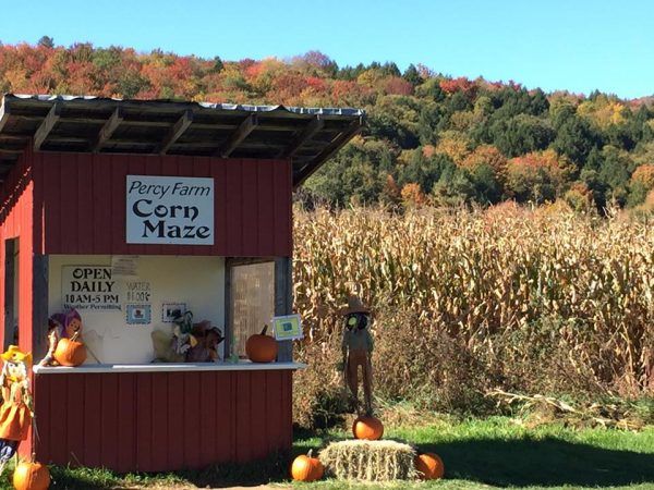 a small red building sitting in the middle of a field with lots of pumpkins