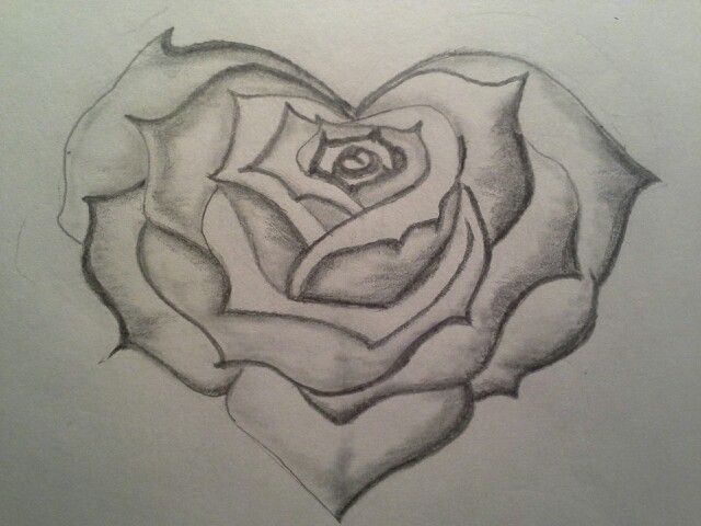 a drawing of a rose in the shape of a heart