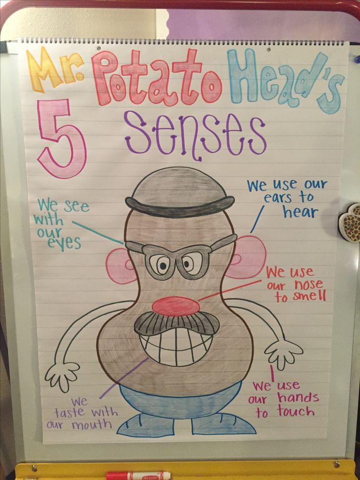 a poster with the words mr potato head's 5 sense written in front of it