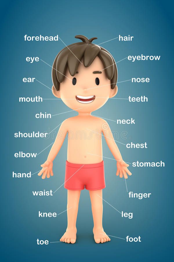 the body and parts of a boy on a blue background with text royalty illustration stock illustration