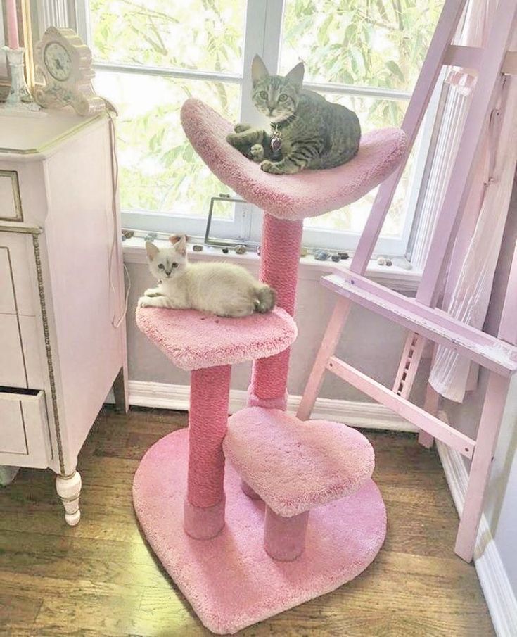 two cats laying on top of a pink cat tree in a room next to a window