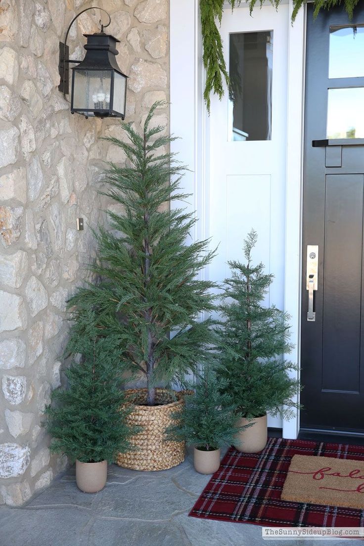 two potted evergreen trees sitting on the front porch next to a door with a welcome mat