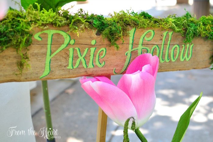 a pink tulip sitting in front of a wooden sign that says pixie hollow