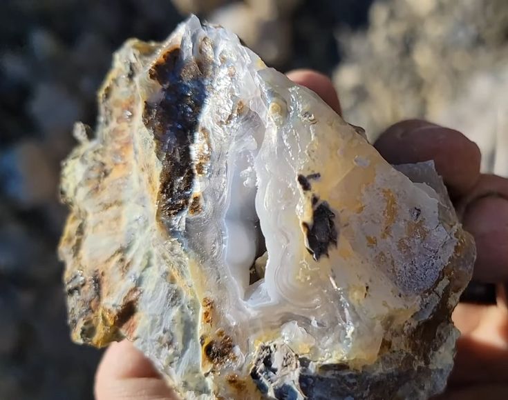 a person holding a piece of rock in their hand