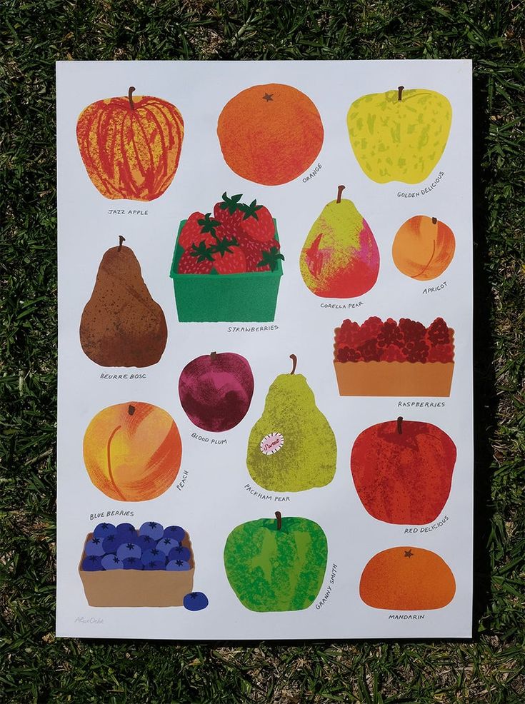 a poster with different types of fruit on it sitting in the grass next to green grass