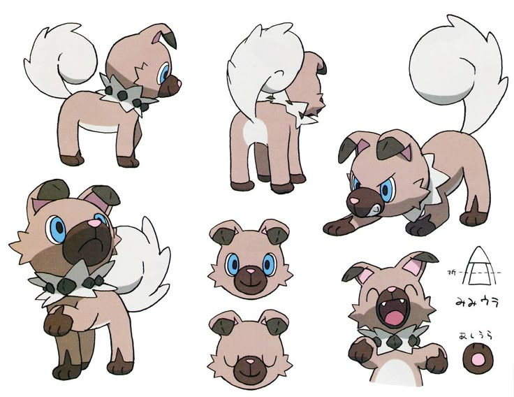 some very cute little dogs with different expressions on their face and chests, all in various poses