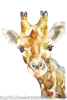 a watercolor painting of a giraffe's face