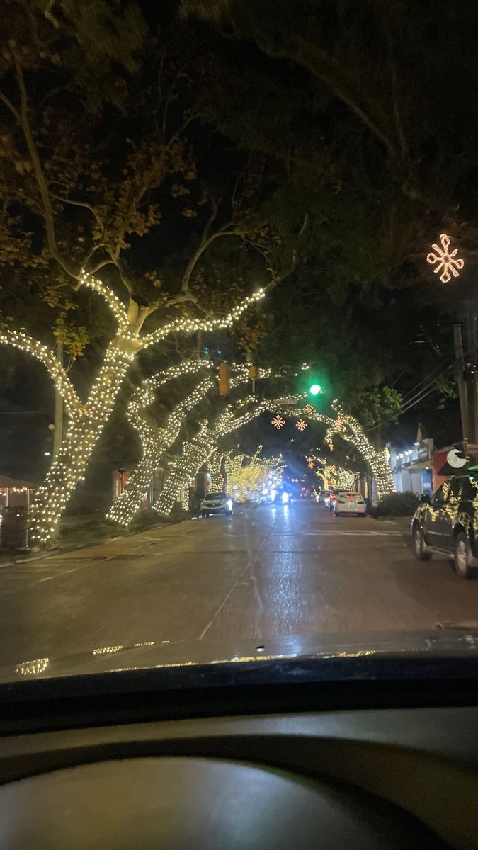 a car driving down a street with christmas lights on it's trees and decorations