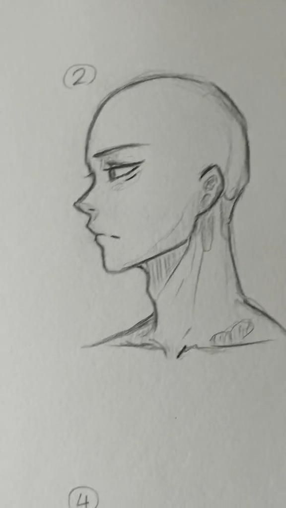 a drawing of a man's head and neck