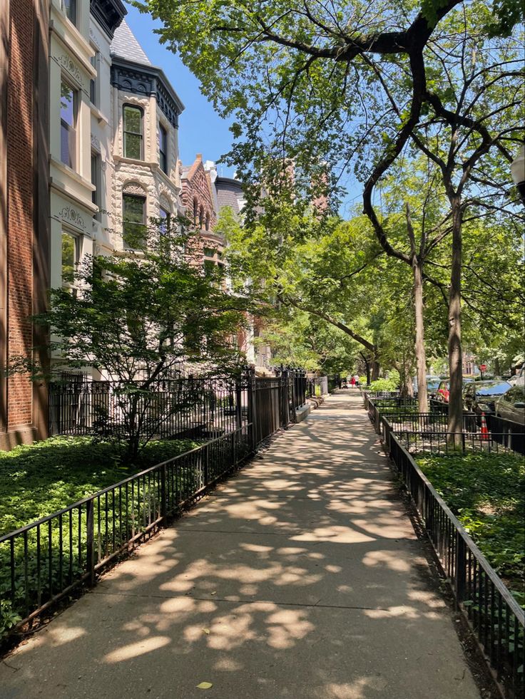 the sidewalk is lined with trees and buildings