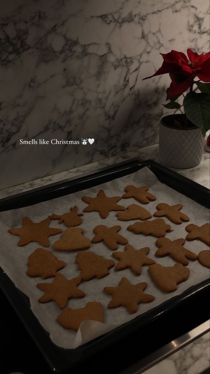 a cookie sheet with cut out gingerbreads on it next to a potted plant